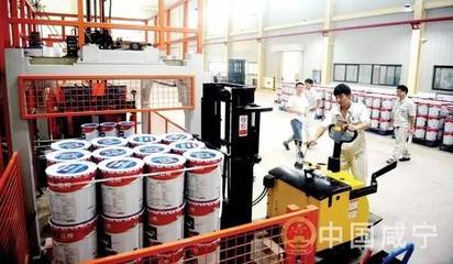 立邦涂料咸寧工廠首條生產線投產，年產值50億元項目啟航